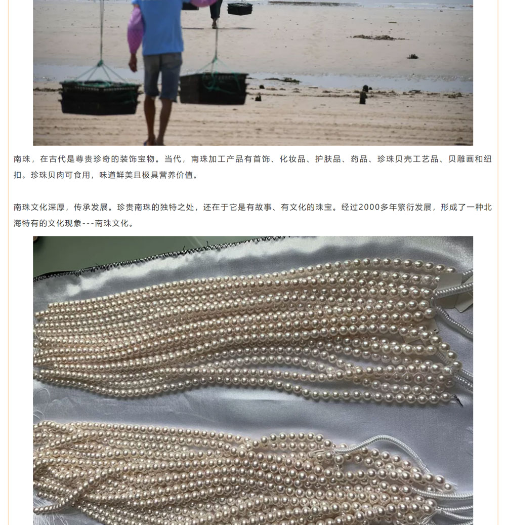 古老南珠，綻放異彩