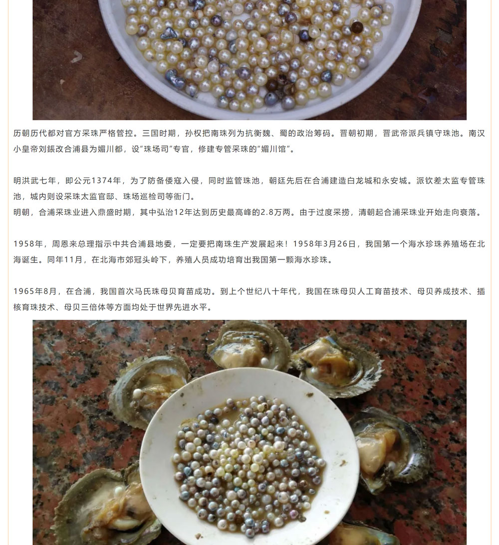 古老南珠，綻放異彩