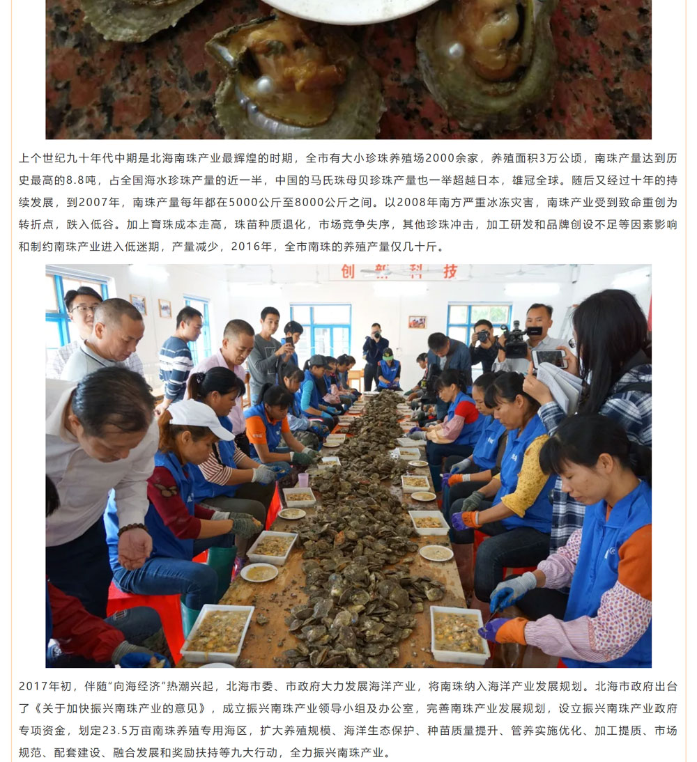 古老南珠，綻放異彩