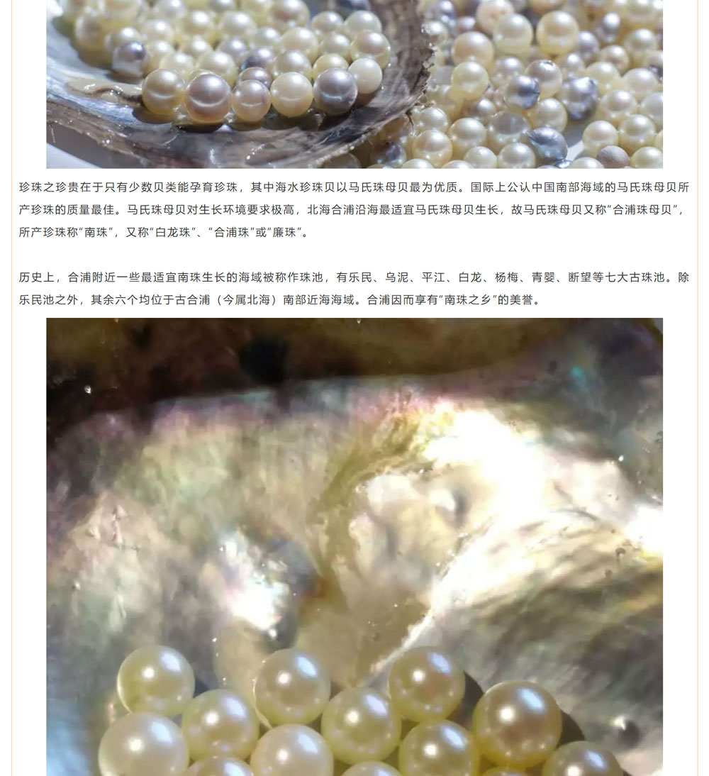 古老南珠，綻放異彩