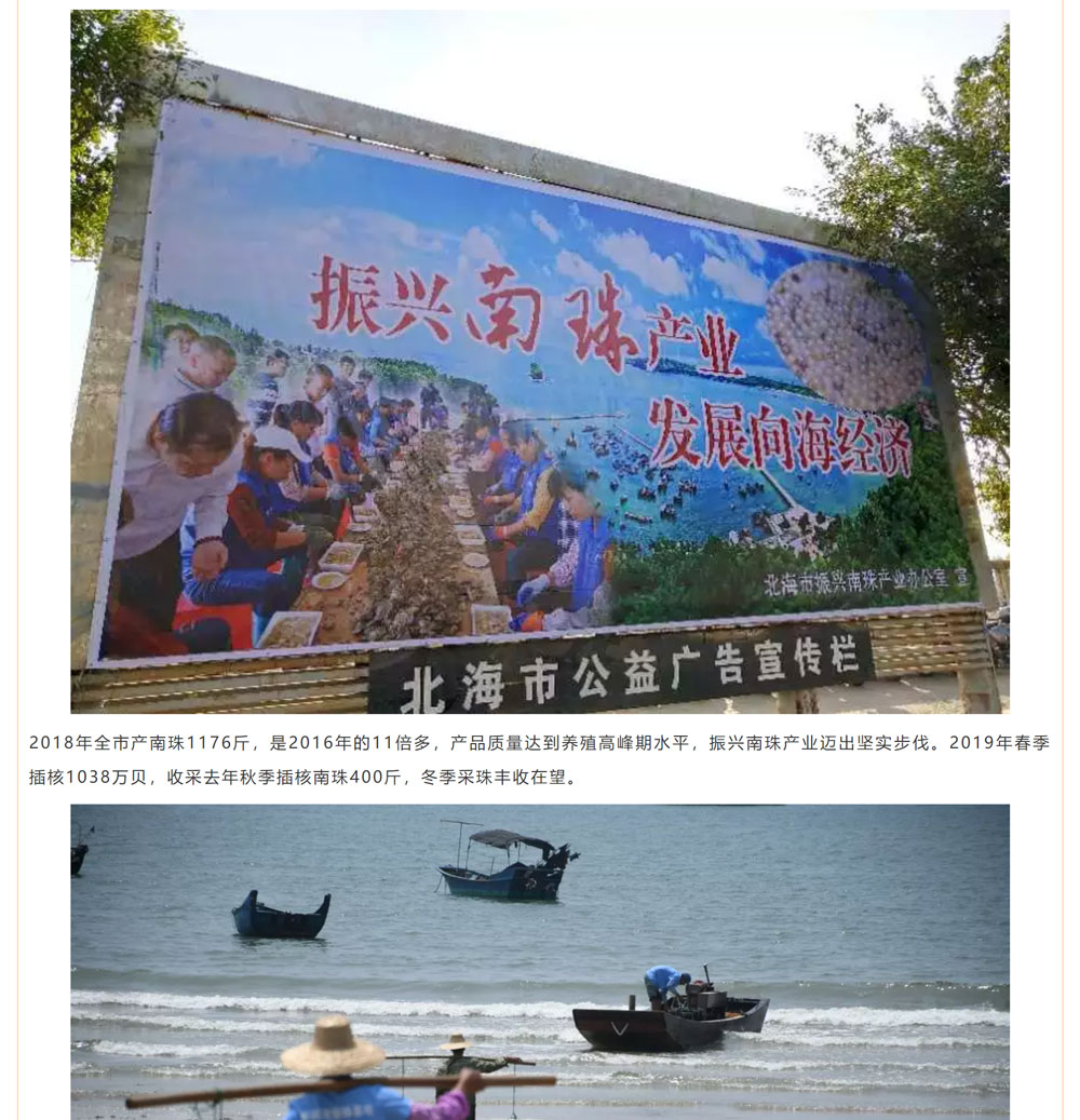 古老南珠，綻放異彩